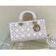 LADY D-JOY BAG MEDIUM Cannage Lambskin with Bead Embroidery High