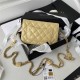 WALLET ON CHAIN Lambskin & Gold-Tone Metal AP2923 Yellow A