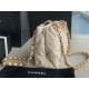 SMALL SHOPPING BAG Lambskin & Gold-Tone Metal AS3502 Nude High