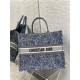 LARGE Dior BOOK TOTE Brocart Embroidery High