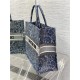 LARGE Dior BOOK TOTE Brocart Embroidery High