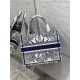 SMALL Dior BOOK TOTE Dior Rêve d'Infini Embroidery Blue High