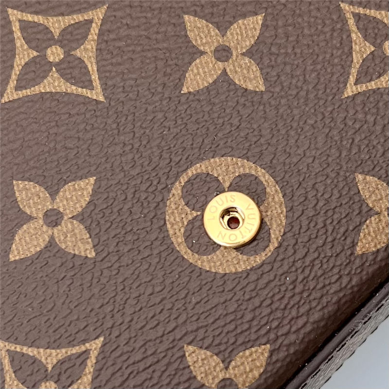 Louis Vuitton Felicie Pochette Vivienne Monogram Canvas M81545 High