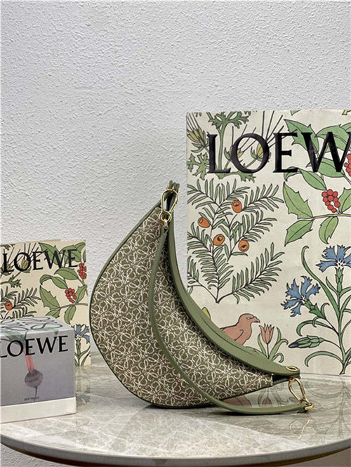 Small LOEWE Luna bag in Anagram jacquard and classic calfskin Green High