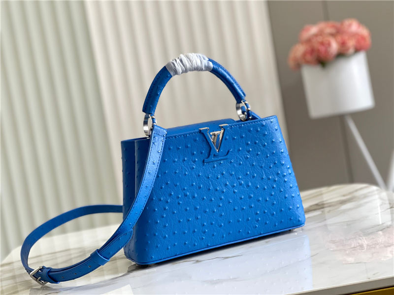 Louis Vuitton Capucines BB Ostrich leather M95393/M48865 Blue High