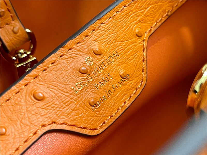 Louis Vuitton Capucines BB Ostrich leather M95393/M48865 Orange High