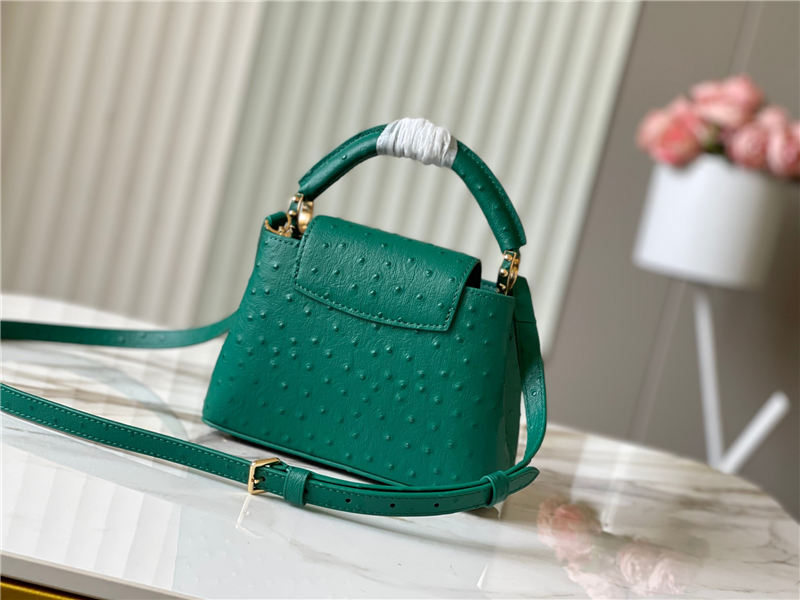 Louis Vuitton Capucines Mini Ostrich leather M95393/M48865 Green High