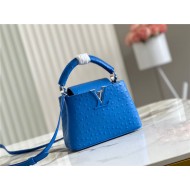 Louis Vuitton Capucines Mini Ostrich leather M95393/M48865 Blue High