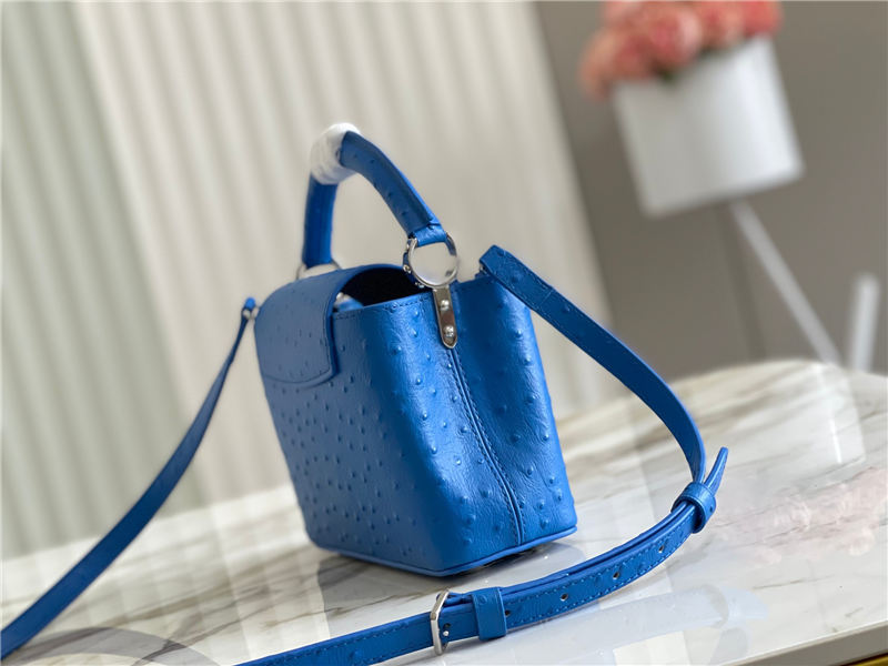 Louis Vuitton Capucines Mini Ostrich leather M95393/M48865 Blue High