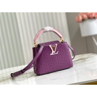 Louis Vuitton Capucines Mini Ostrich leather M95393/M48865 Purple High