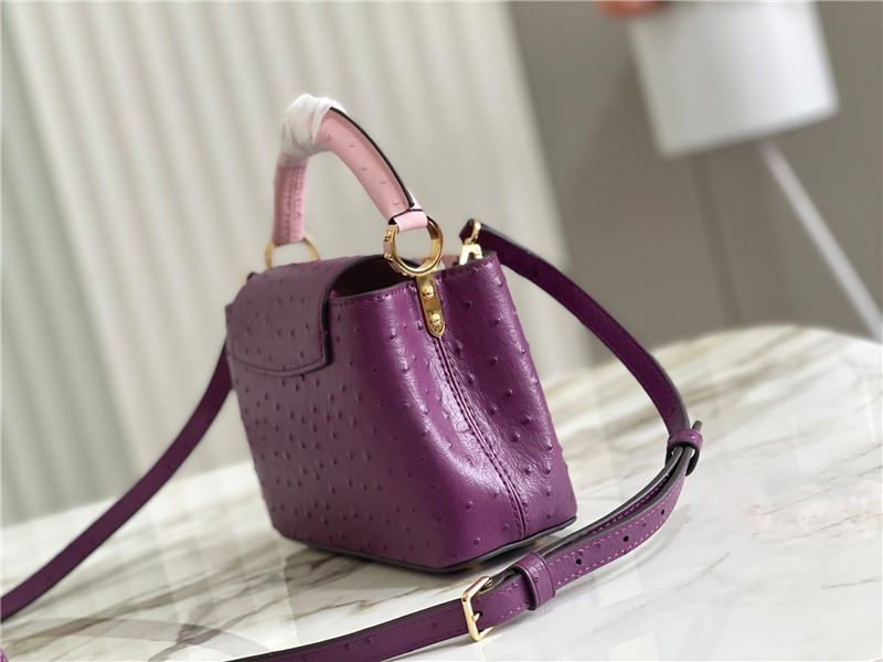 Louis Vuitton Capucines Mini Ostrich leather M95393/M48865 Purple High