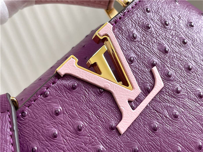 Louis Vuitton Capucines Mini Ostrich leather M95393/M48865 Purple High