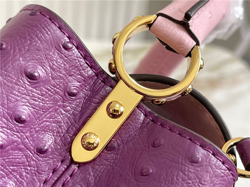 Louis Vuitton Capucines Mini Ostrich leather M95393/M48865 Purple High