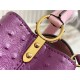 Louis Vuitton Capucines Mini Ostrich leather M95393/M48865 Purple High