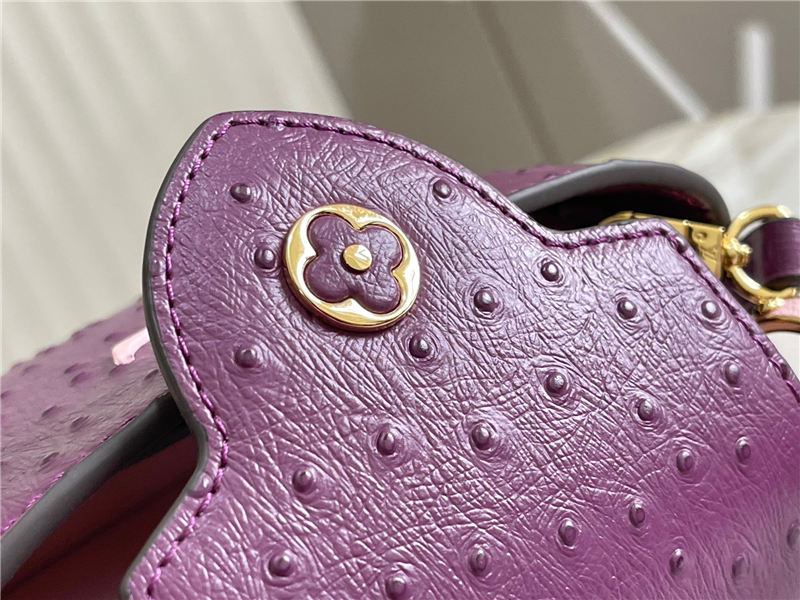 Louis Vuitton Capucines Mini Ostrich leather M95393/M48865 Purple High