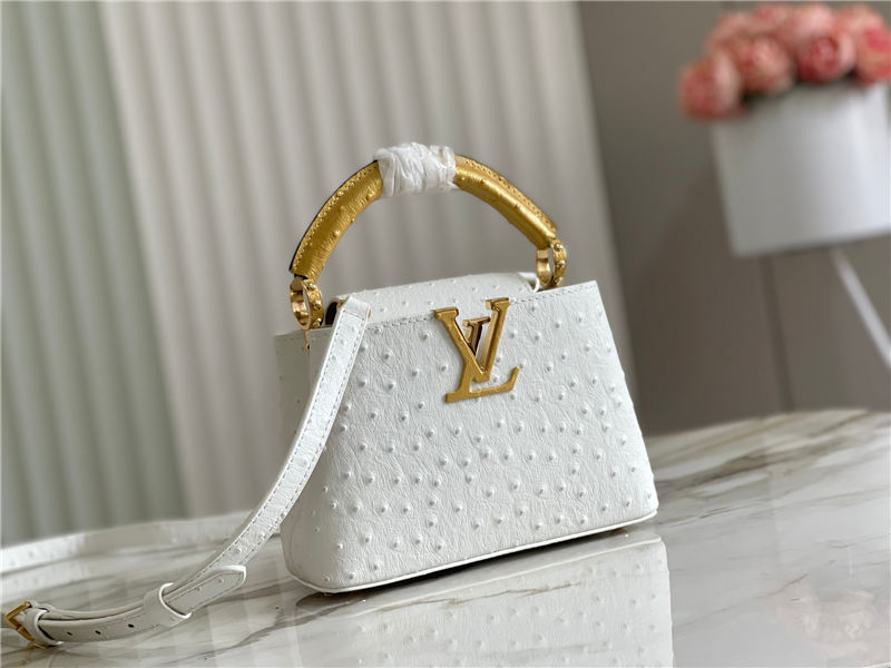 Louis Vuitton Capucines Mini Ostrich leather M95393/M48865 Pearl High