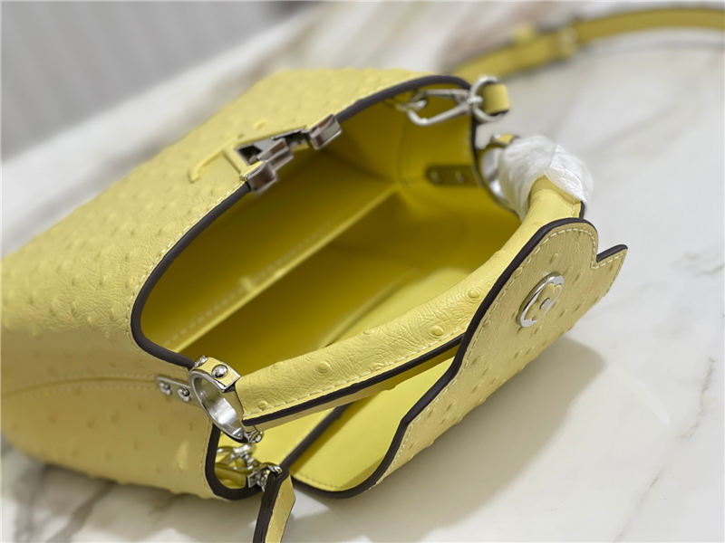 Louis Vuitton Capucines Mini Ostrich leather M95393/M48865 Lemon High