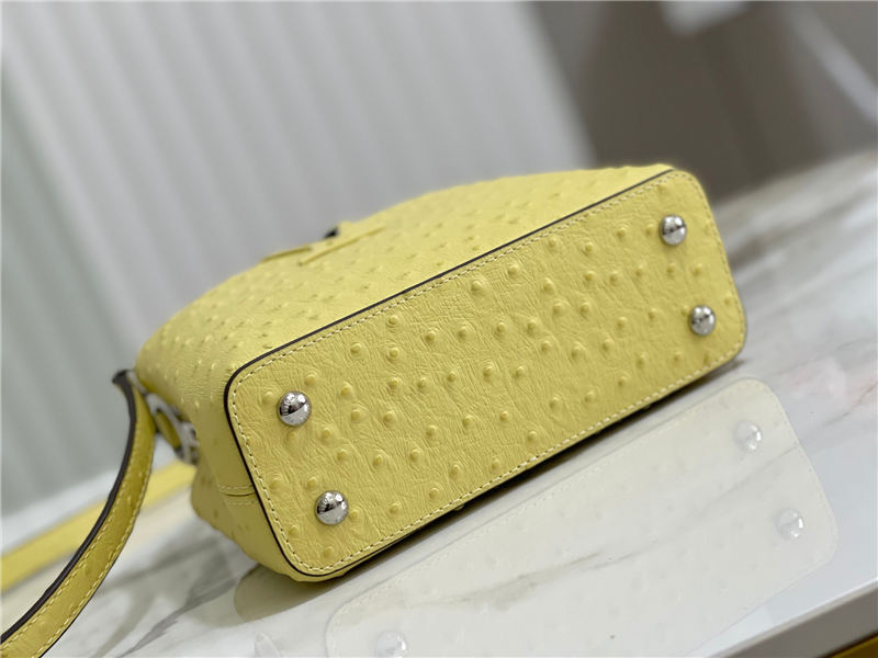 Louis Vuitton Capucines Mini Ostrich leather M95393/M48865 Lemon High