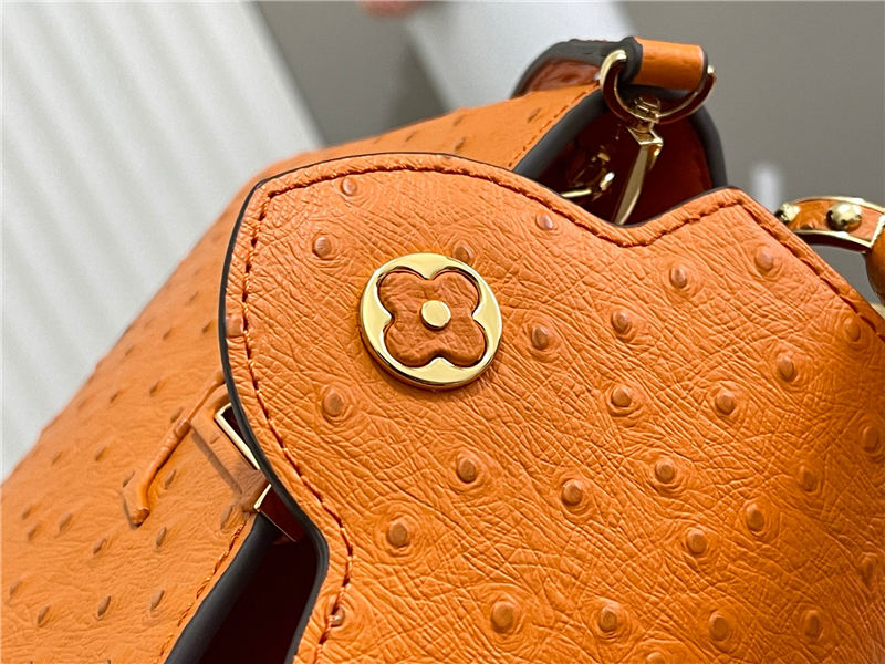 Louis Vuitton Capucines Mini Ostrich leather M95393/M48865 Orange High