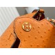 Louis Vuitton Capucines Mini Ostrich leather M95393/M48865 Orange High