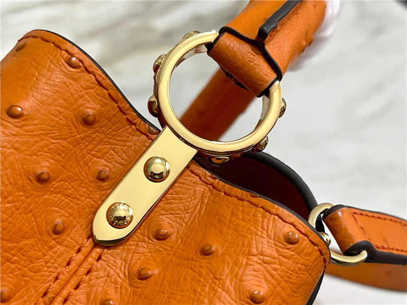 Louis Vuitton Capucines Mini Ostrich leather M95393/M48865 Orange High