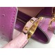 Louis Vuitton Capucines MM Ostrich leather M95393/M48865 Purple High