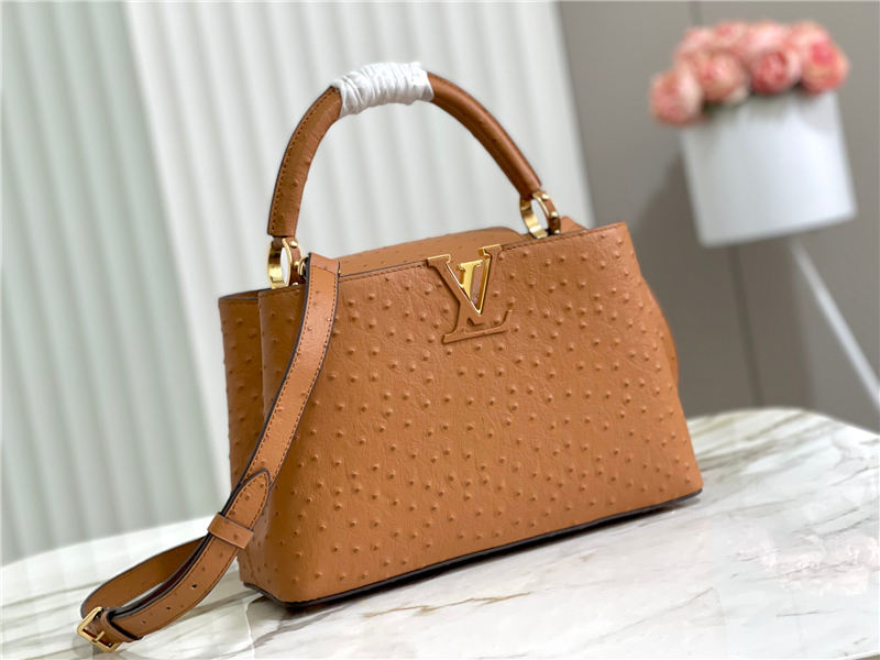 Louis Vuitton Capucines MM Ostrich leather M95393/M48865 Brown High