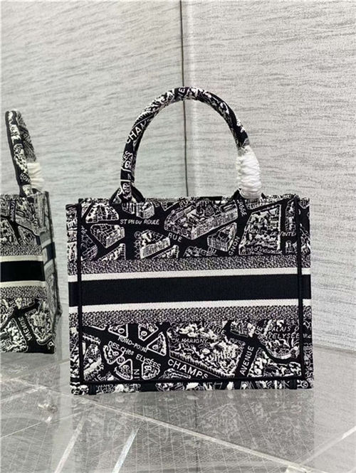 SMALL Dior BOOK TOTE Plan de Paris Embroidery Black/White High