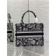 SMALL Dior BOOK TOTE Plan de Paris Embroidery Black/White High