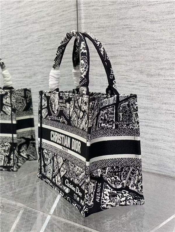 SMALL Dior BOOK TOTE Plan de Paris Embroidery Black/White High