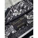 SMALL Dior BOOK TOTE Plan de Paris Embroidery Black/White High