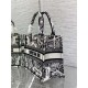 SMALL Dior BOOK TOTE Plan de Paris Embroidery White/Black High