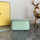 MINI BAGUETTE leather bag Mint Green High