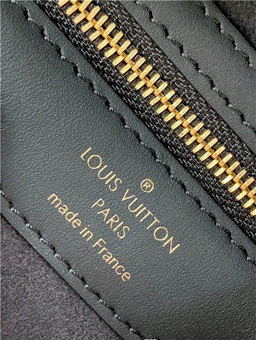 Louis Vuitton LV Twinny Monogram and Monogram Reverse coated canvas M46659 High