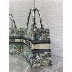 MEDIUM Dior BOOK TOTE Étoile de Voyage Embroidery High