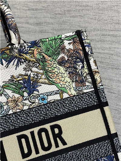 MEDIUM Dior BOOK TOTE Étoile de Voyage Embroidery High