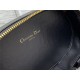 CD SIGNATURE OVAL CAMERA BAG Calfskin with Embossed CD Signature Black High