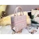 SMALL Dior BOOK TOTE Toile de Jouy Embroidery Mid