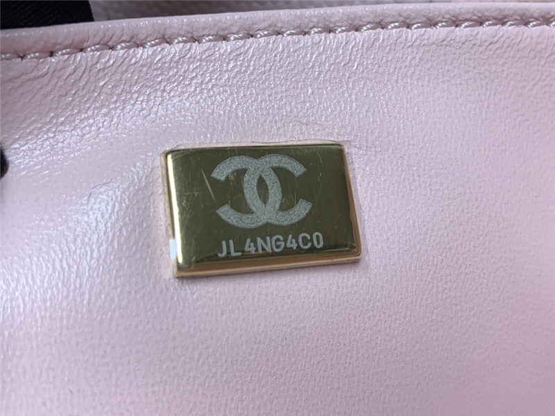 Chanel BUCKET BAG AS3176 Grained Calfskin Gold-Tone Metal Pink High