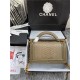 BOY Chanel FLAP BAG WITH HANDLE Python & Gold Metal High