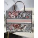 LARGE Dior BOOK TOTE La Force Embroidery Multicolor High