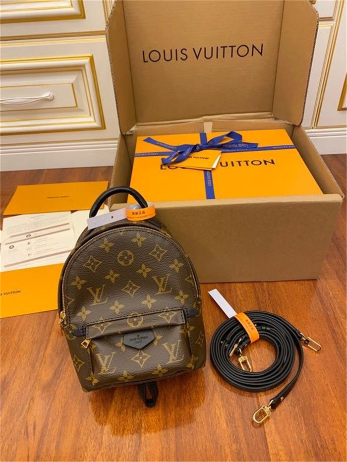 Louis Vuitton Mini Palm Springs Backpack M44873 Top