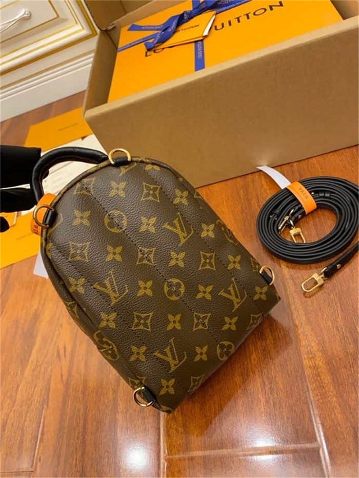 Louis Vuitton Mini Palm Springs Backpack M44873 Top