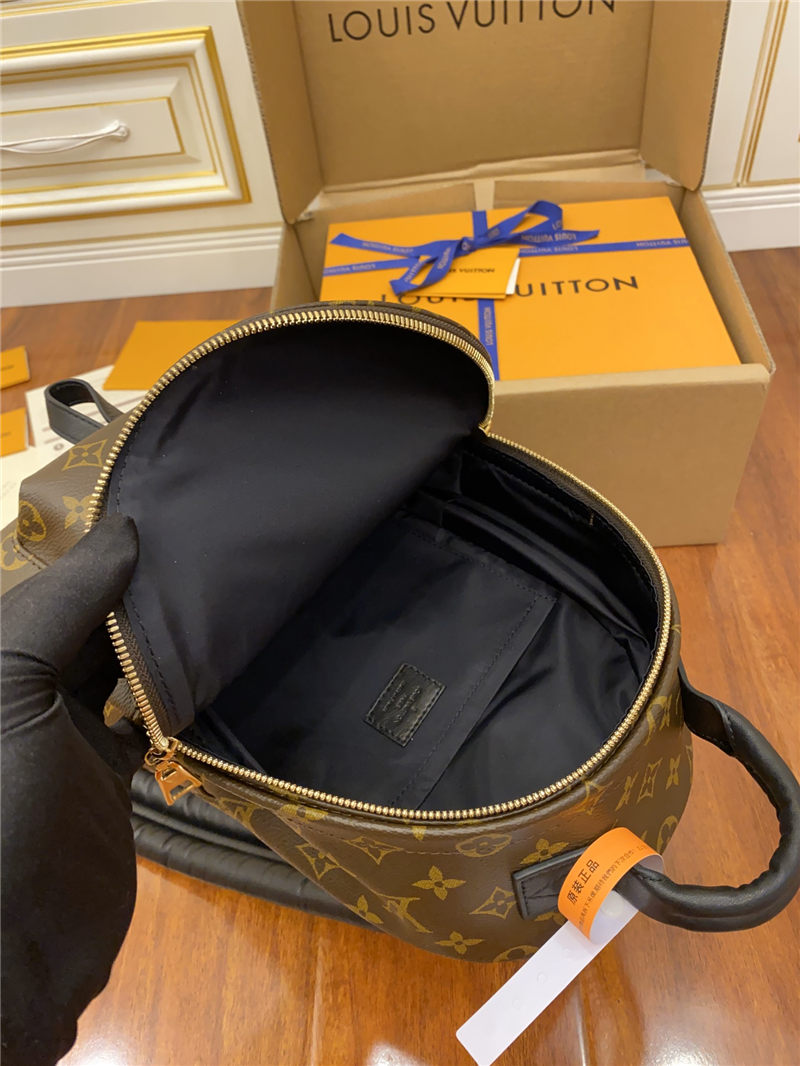 Louis Vuitton Palm Springs PM Backpack M44871 Top