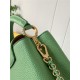 Louis Vuitton CAPUCINES MINI Taurillon Green M59709 High