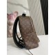 Louis Vuitton Palm Springs MM Backpack M41561 High