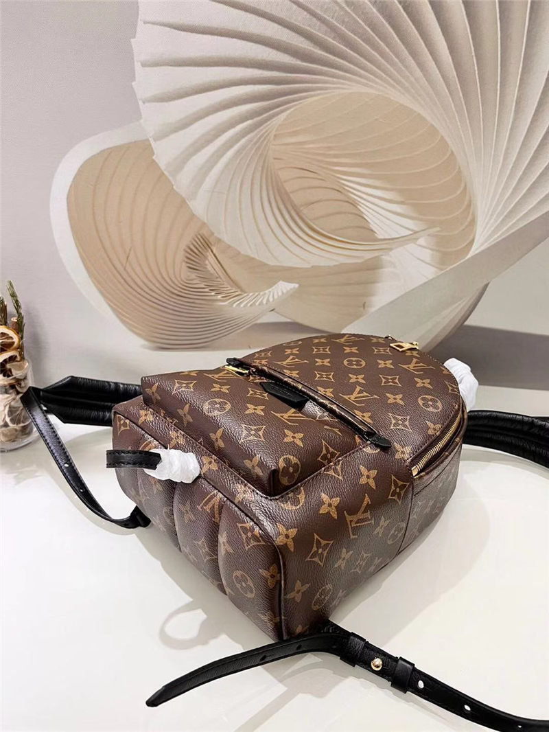 Louis Vuitton Palm Springs PM Backpack M41560 High