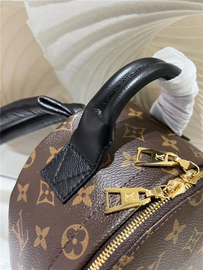 Louis Vuitton Palm Springs PM Backpack M41560 High