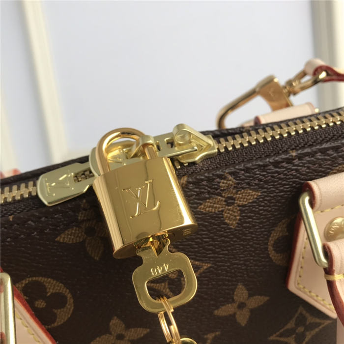 Louis Vuitton Alma PM Bag Monogram Canvas M53151 High