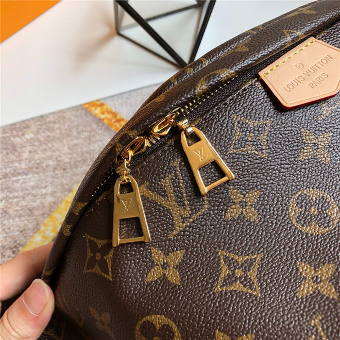 Louis Vuitton Bumbag Bag Monogram Canvas M43644 High